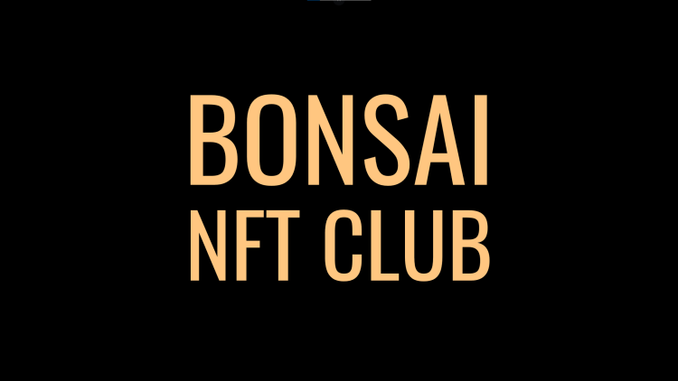 BONSAI NFT CLUB